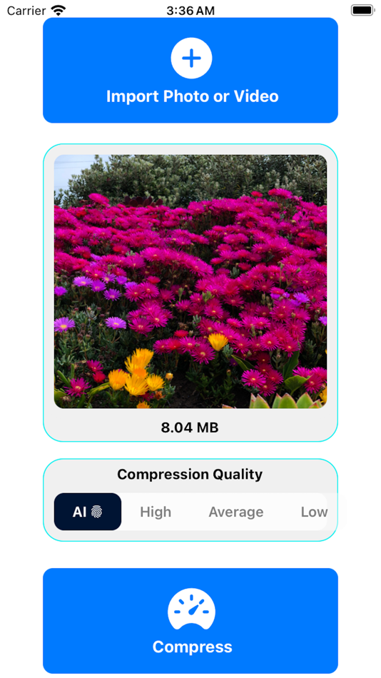 #1. scallion - AI Compressor (iOS) By: Jesse Benjamin