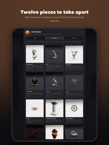 Clay Shaper: 3D Sculpting iPad screenshot