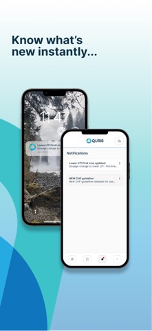 Quris screenshot