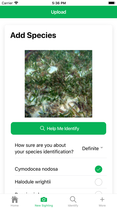 SeagrassSpotter Screenshot