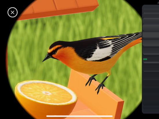 World of Wings iPad screenshot 7 - Games app