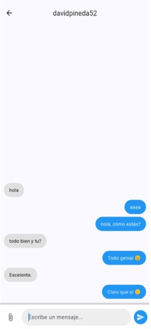 PleniitChat screenshot