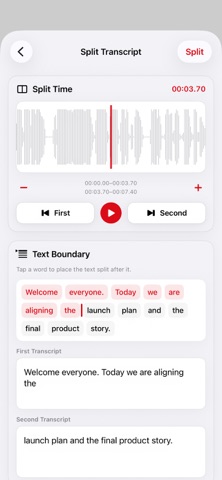 REDREC - Offline Transcription iPhone screenshot