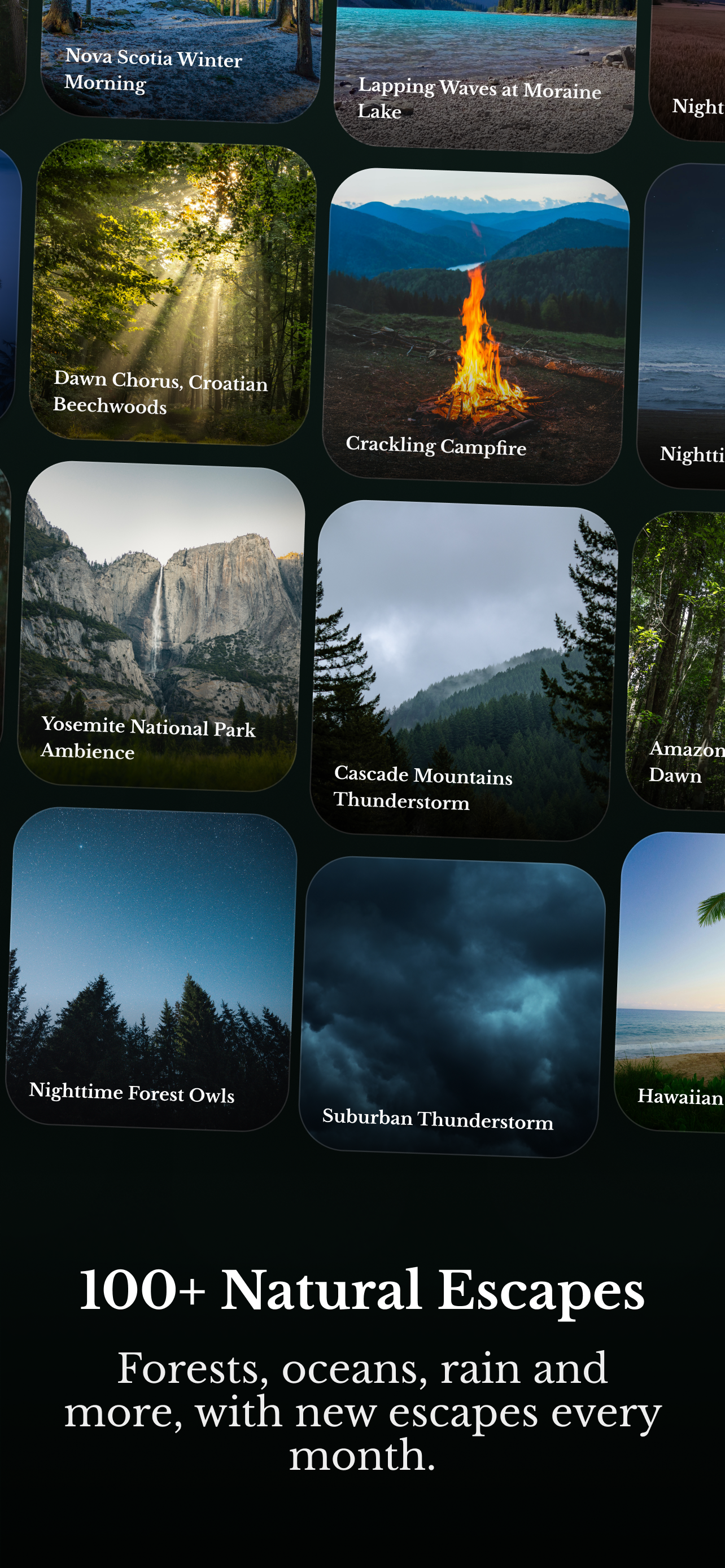 Naturescapes: Nature Sounds screenshot 4