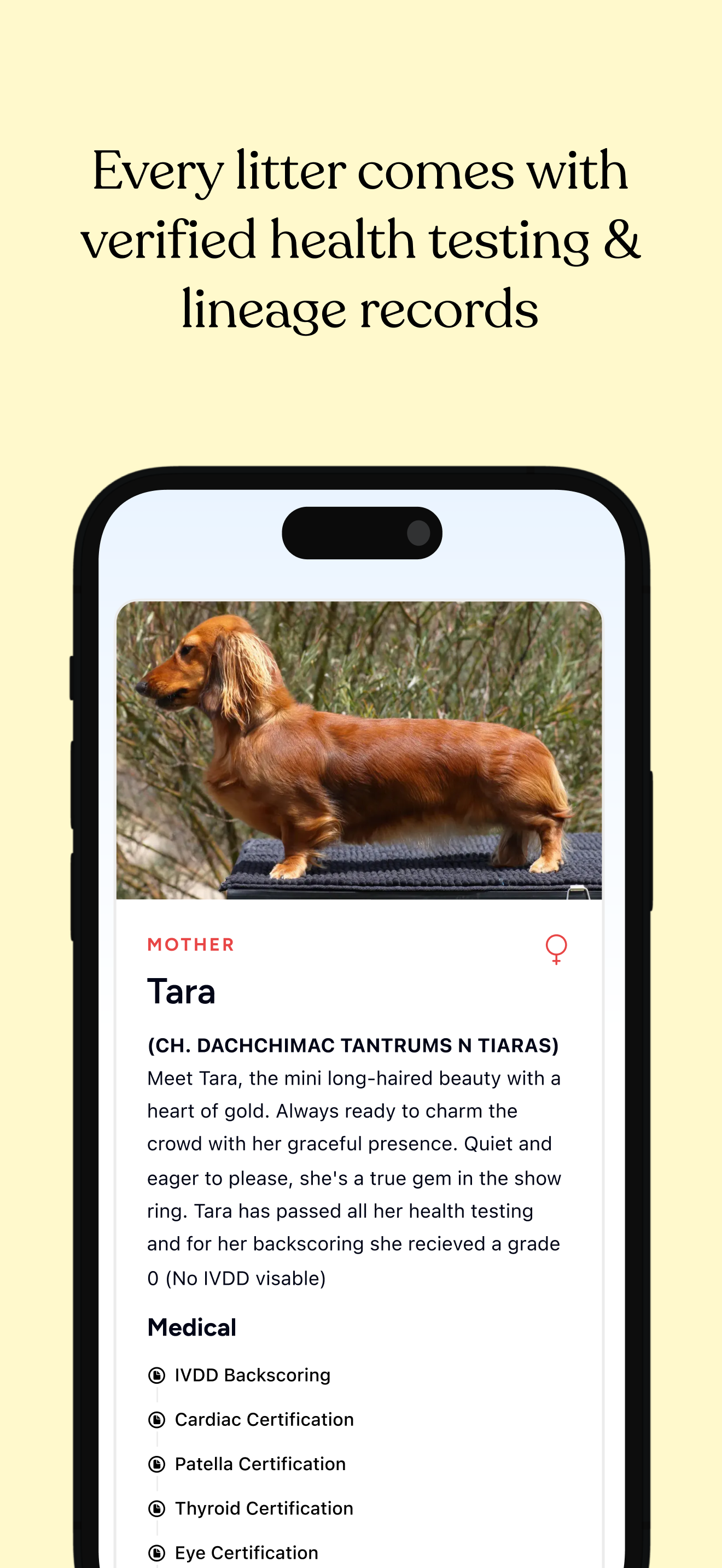 PupUp: Find Your Perfect Pup