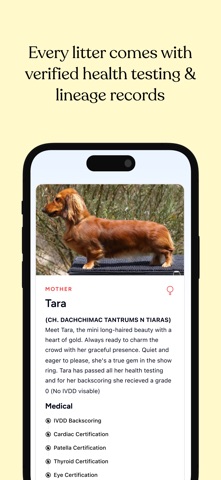 PupUp: Find Your Perfect Pup screenshot