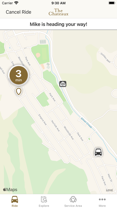 Screenshot #3 pour Chateaux Rides