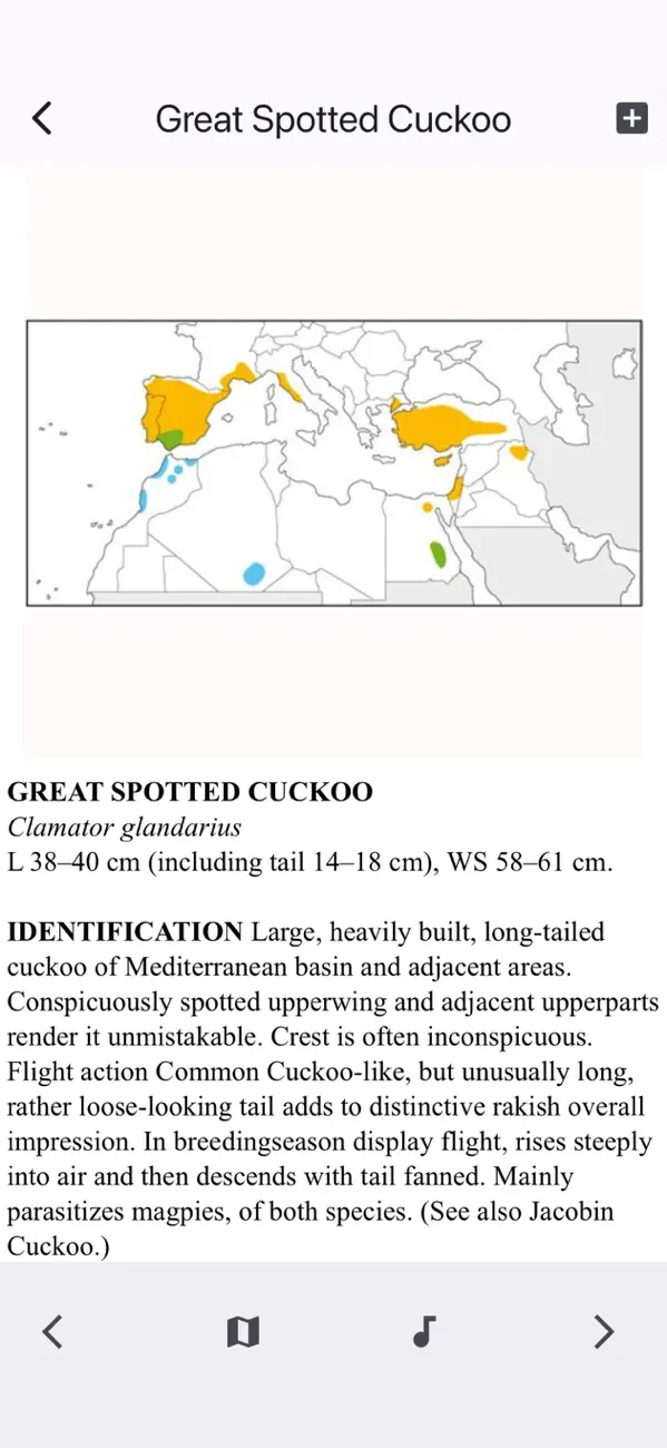 Screenshot #2 pour Birds of Western Palearctic