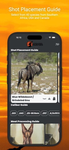 International Hunters iPhone screenshot
