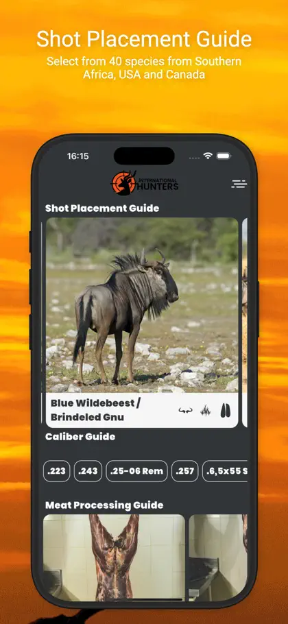 Screenshot 6 von 6 zu International Hunters
