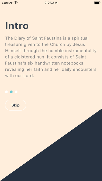 Divine Mercy Reflections Screenshot