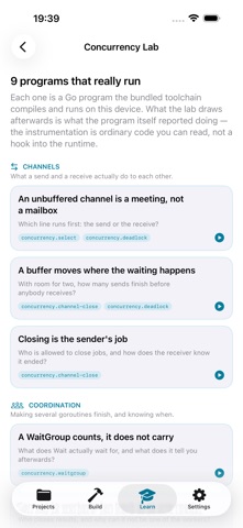 GopherForge: Go Workbench screenshot 5
