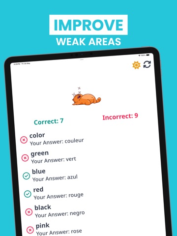 Learn Galician Language iPad screenshot