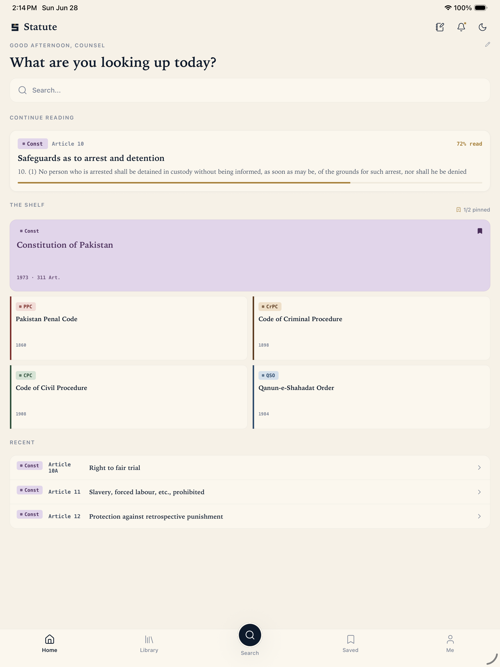 Statute: Carry the Law screenshot 11