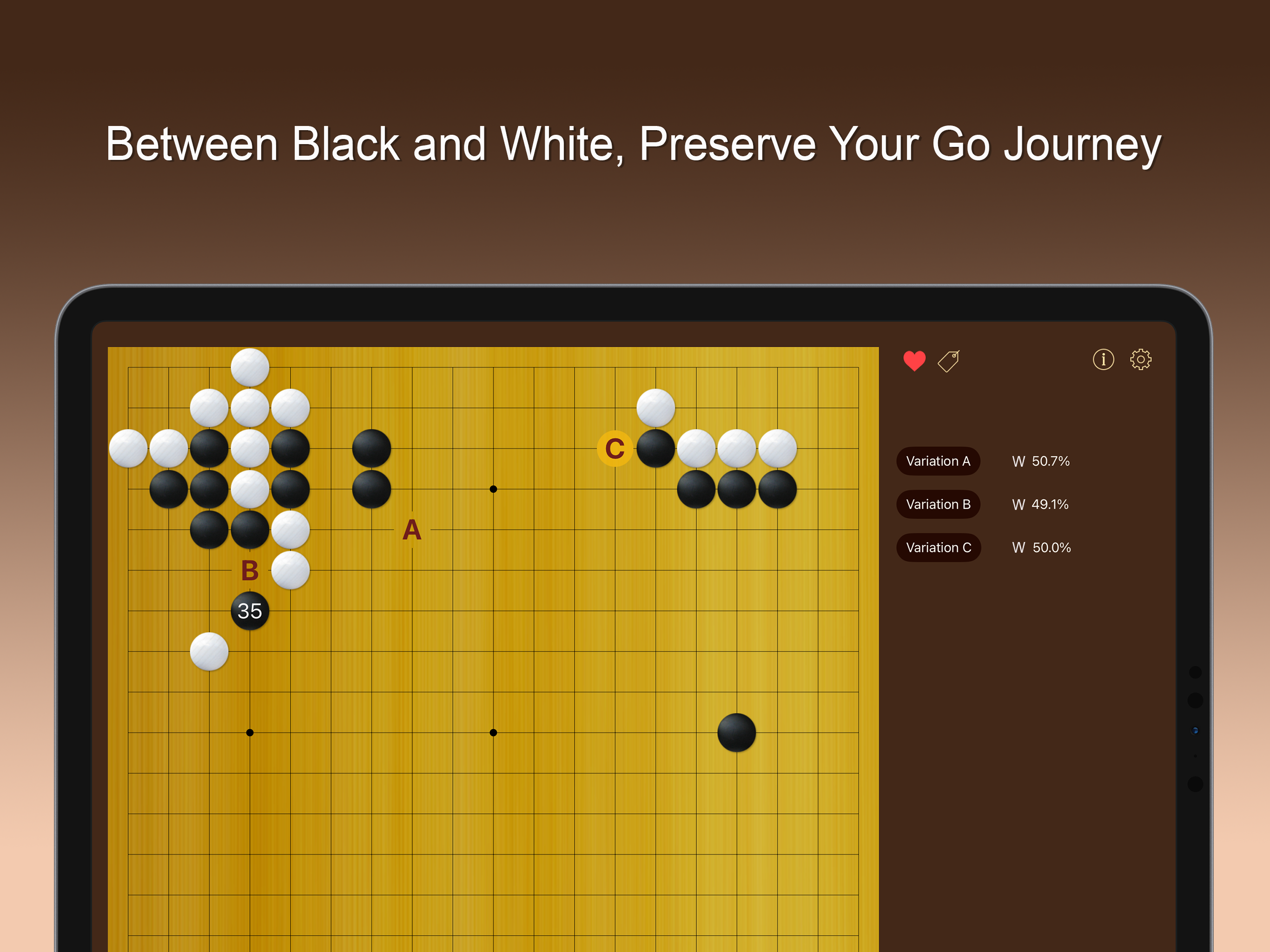 GoNote - Record your go game screenshot 12