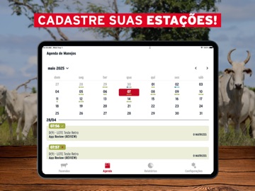 Data Beef iPad screenshot