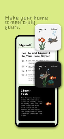 bigsmall - Fish. Cat. Widget. Screenshot 6 of 9