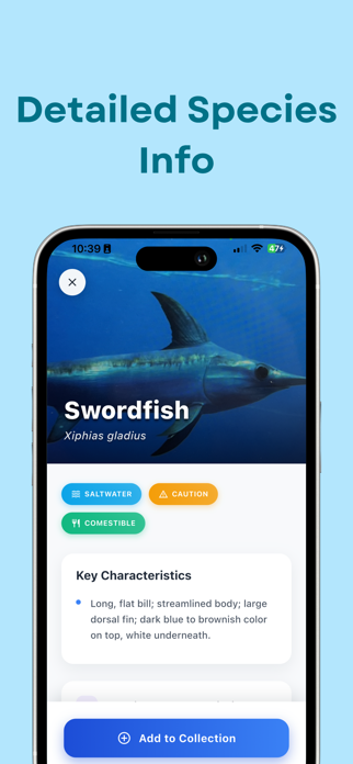 Fish Identifier: SeaID Screenshot 2 of 5