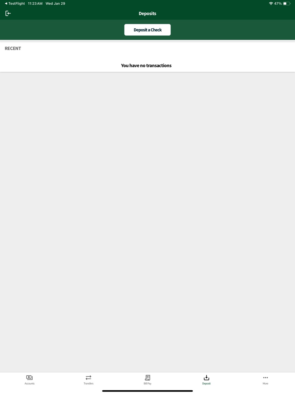 iPad screenshot
