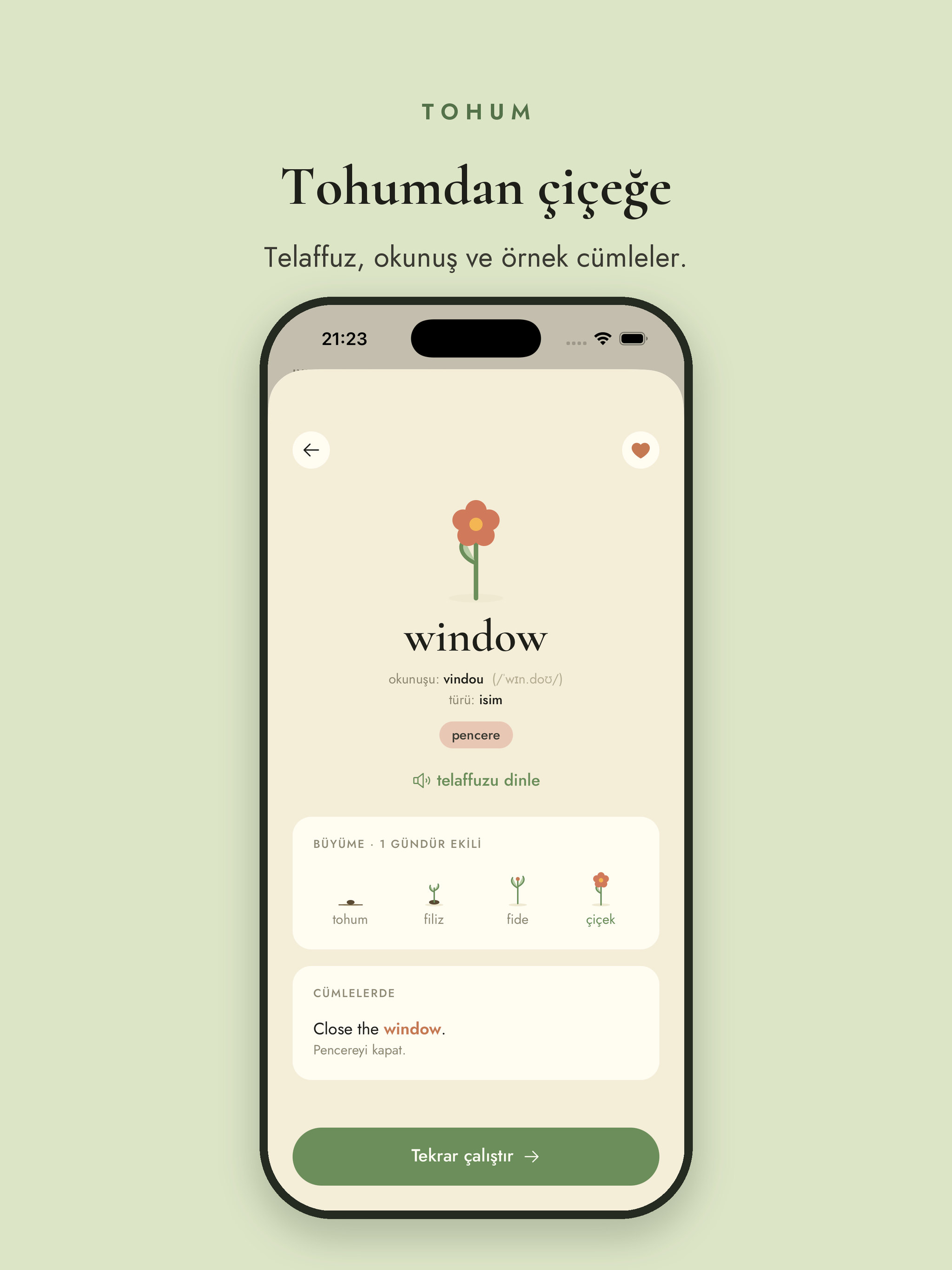 Tohum: Kelime Bahçesi screenshot 12