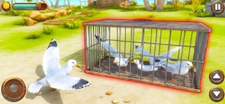 Seagull Bird Life Simulator Screenshot 3 of 5