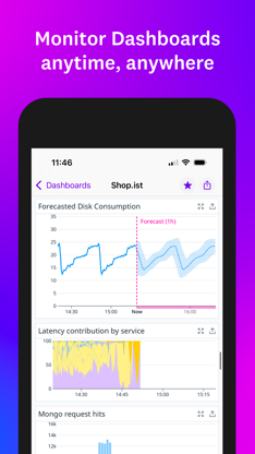 Datadog screenshot 5