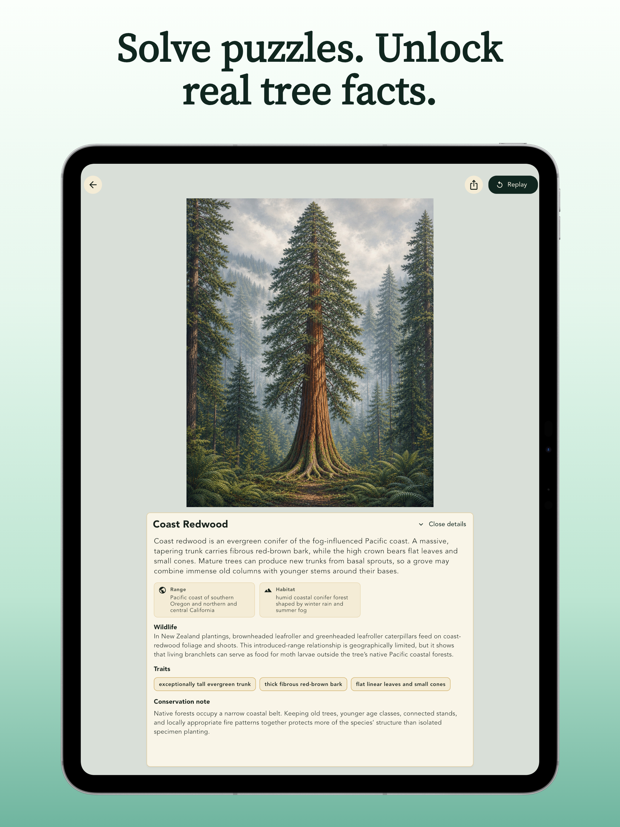 Grove: Botanical Art Puzzles screenshot 13