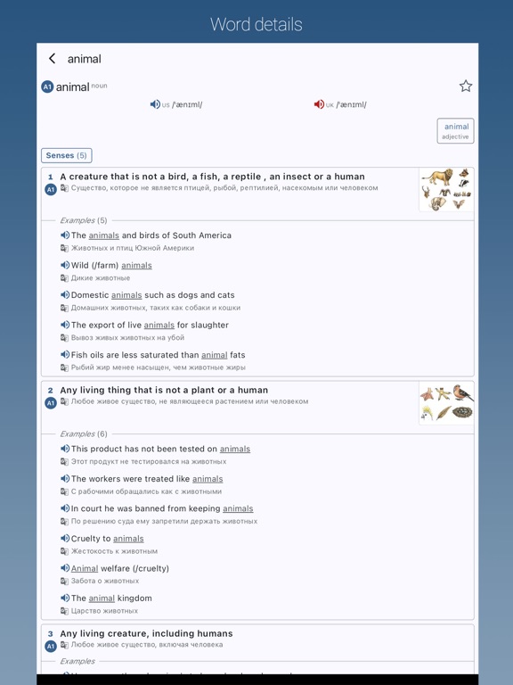English-Russian Dictionary Pro