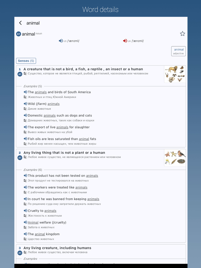 English-Russian Dictionary Pro