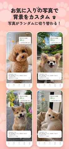 もふもふ天気予報 iPhone screenshot 5
