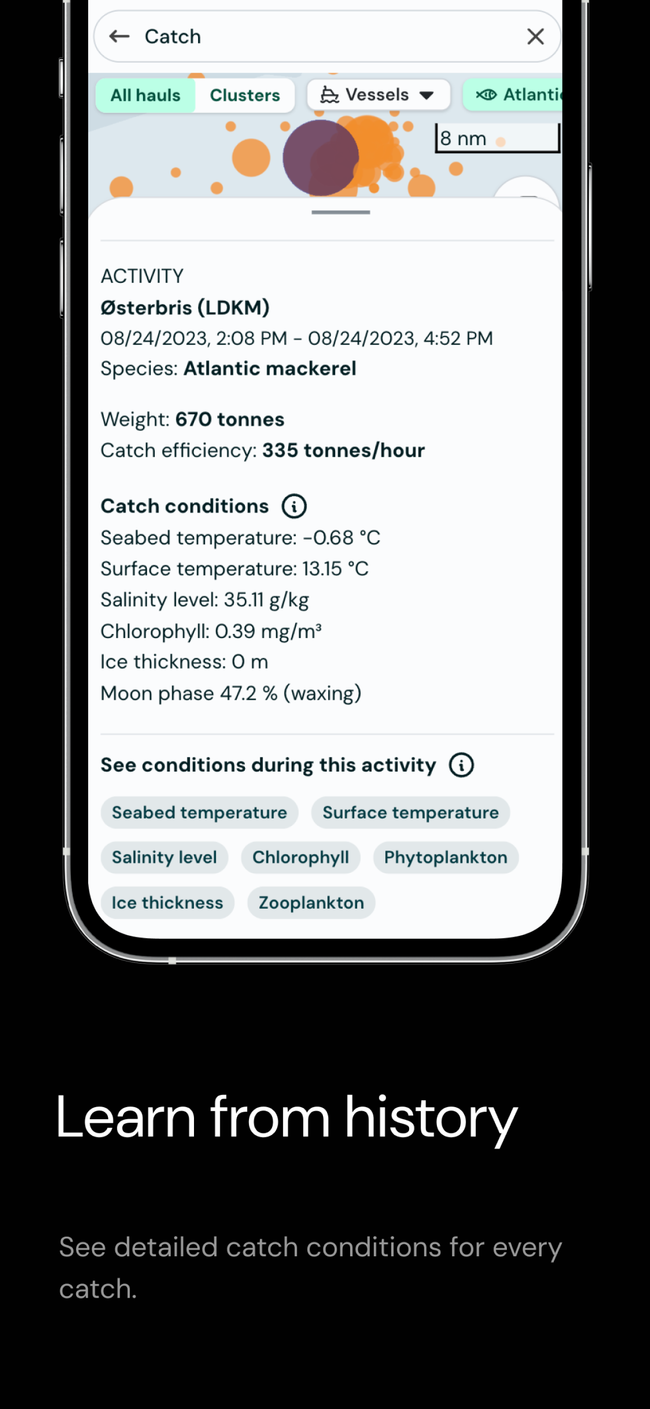 Catchwise