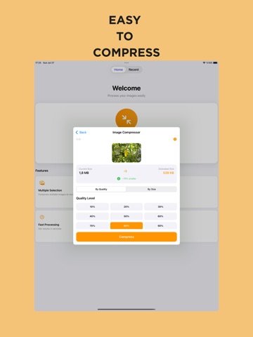 Photo Compressor: Resize MB iPad screenshot
