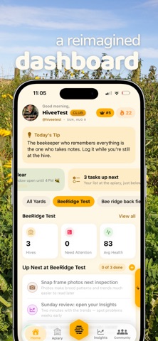 Hivee - Smart Beekeeping screenshot
