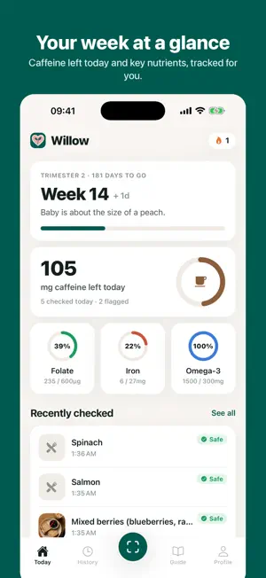 Willow: Pregnancy Food Scanner screenshot 3