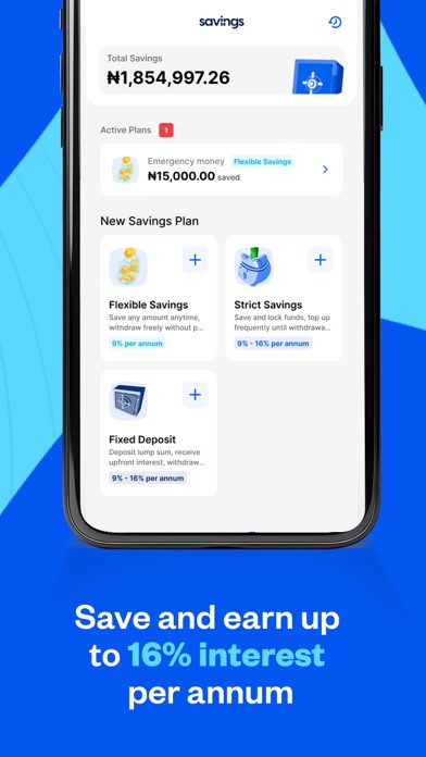 Moniepoint Business Banking Screenshot