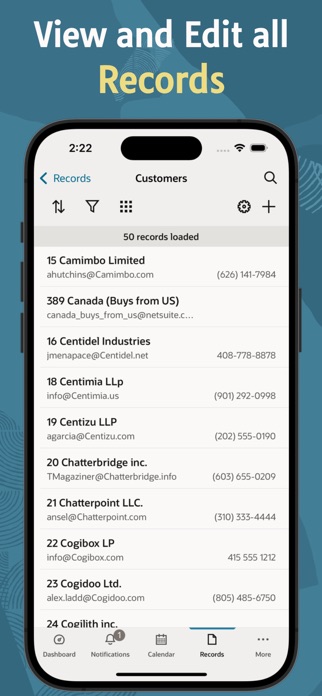 NetSuite Screenshot 4 of 7