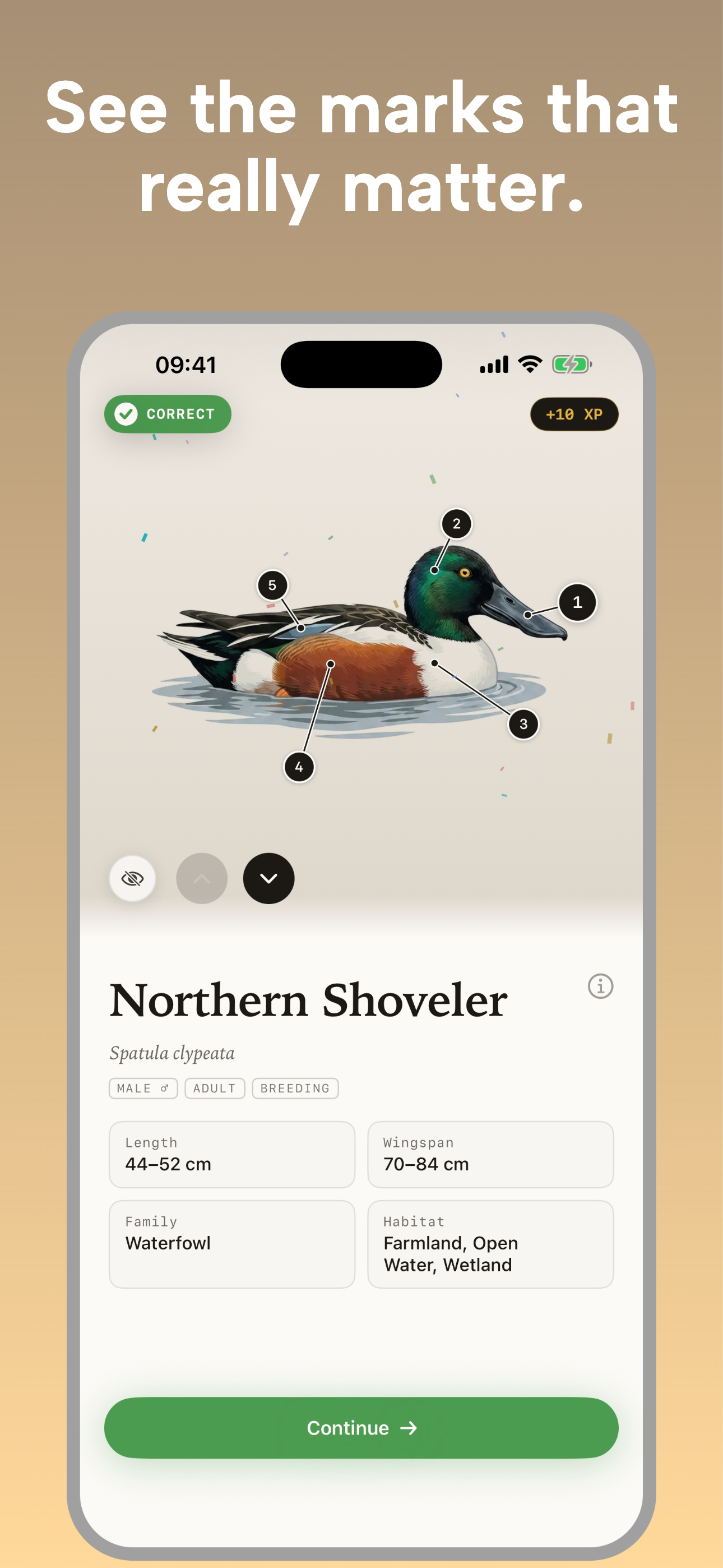 Nestling - Learn Birdwatching screenshot 2