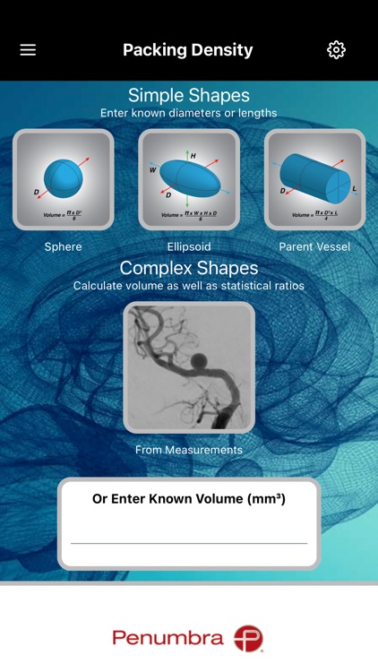 Angiosuite Neuro Edition