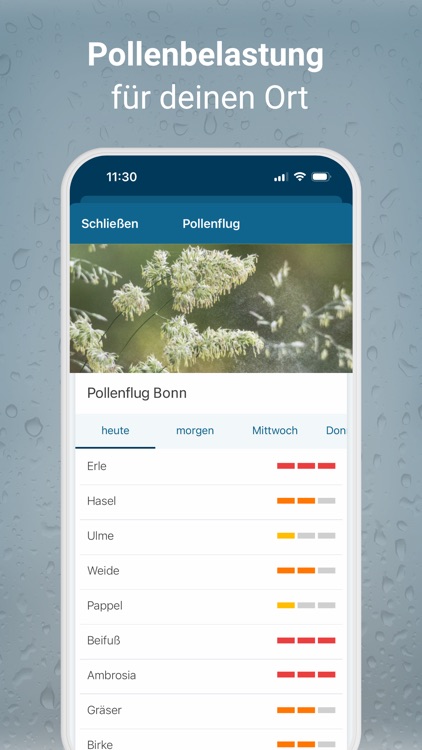 RegenRadar mit Wetterwarnungen screenshot-4