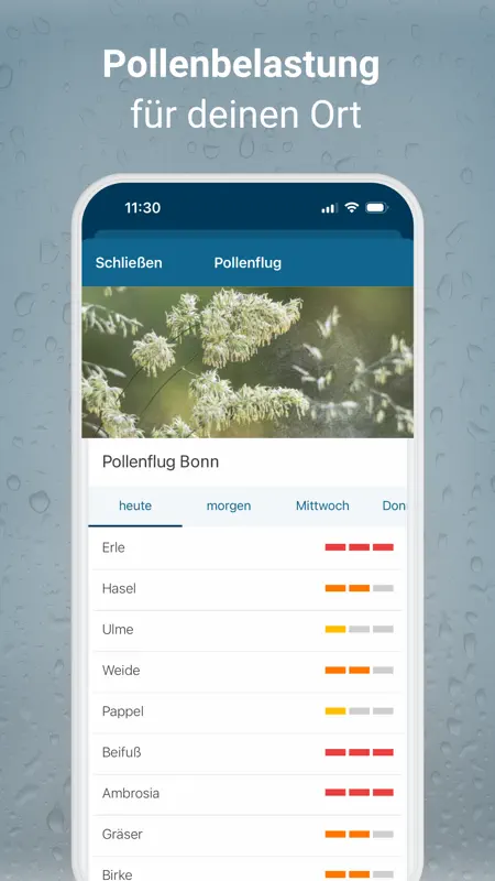 RegenRadar screenshot 5 of 9