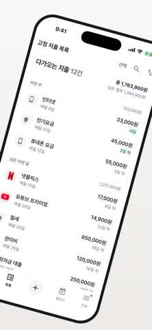 고정지출관리 Budget iPhone screenshot