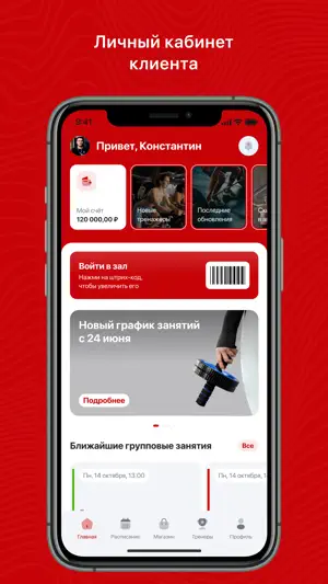 Zozhnikov screenshot 1