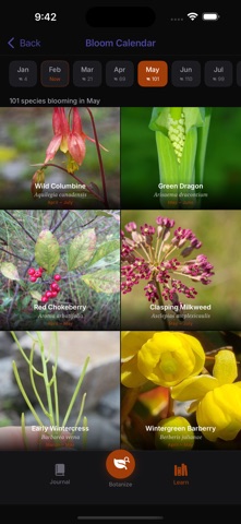 RadicleBotany Screenshot 10 of 10