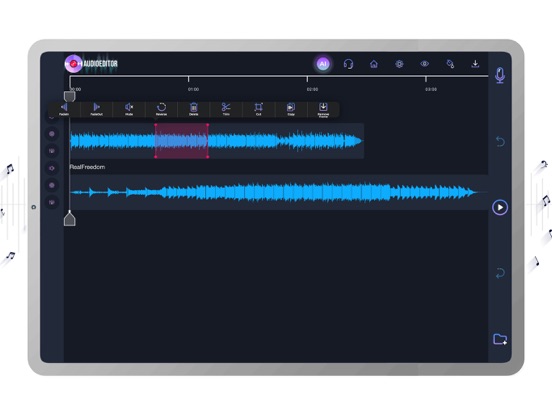 Audio Editor: Recording Studio