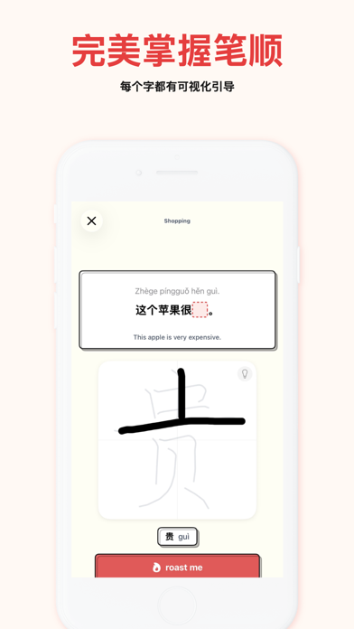 Hanzi Roast: 汉语HSK书写大师 screenshot