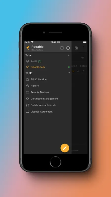 Reqable screenshot 4 of 6