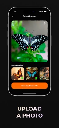 Butterfly Identifier AI Bug ID screenshot 2