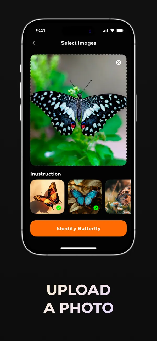 Screenshot #2 pour Butterfly Identifier AI Bug ID