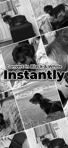 Image Converter: Wirwix screenshot