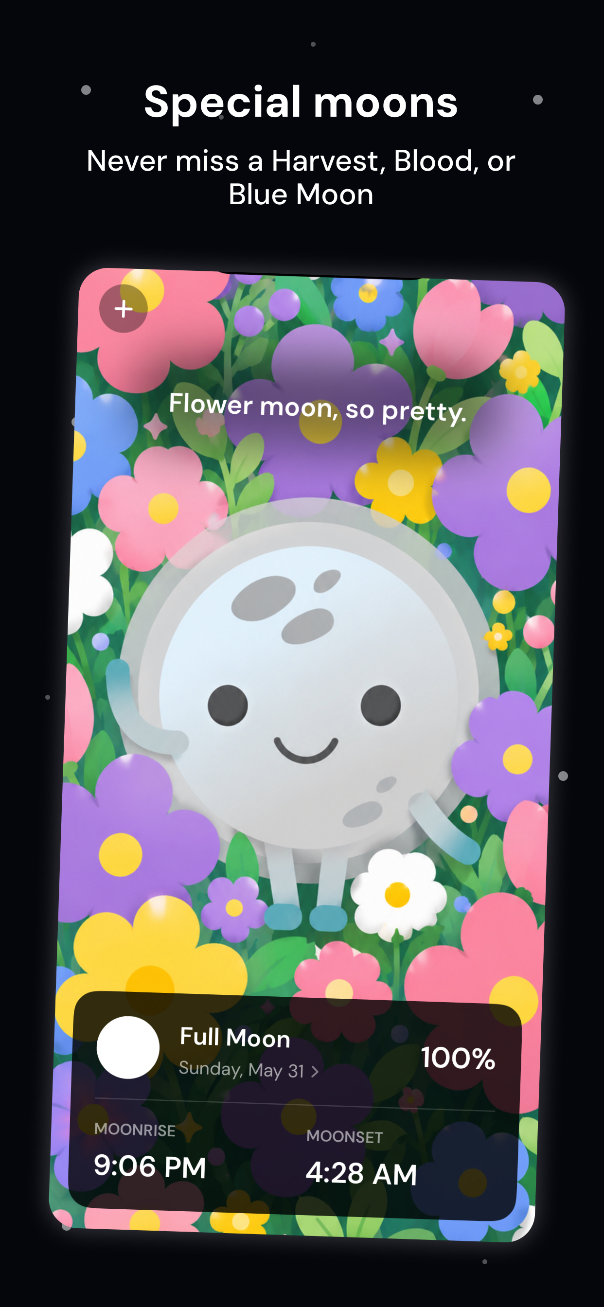 Moon Friend